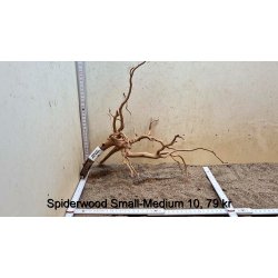 Spiderwood Rod Small-Medium (WYSIWYG)