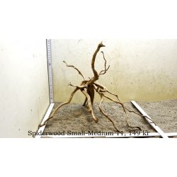 Spiderwood Rod Small-Medium (WYSIWYG)