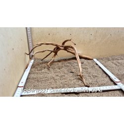 Spiderwood Rod Small-Medium (WYSIWYG)
