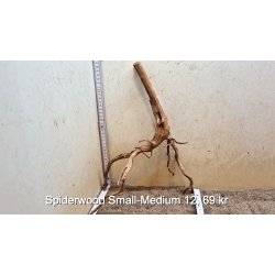 Spiderwood Rod Small-Medium (WYSIWYG)