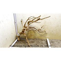 Spiderwood Rod Small-Medium (WYSIWYG)