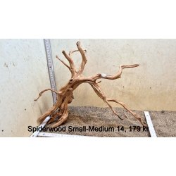 Spiderwood Rod Small-Medium (WYSIWYG)