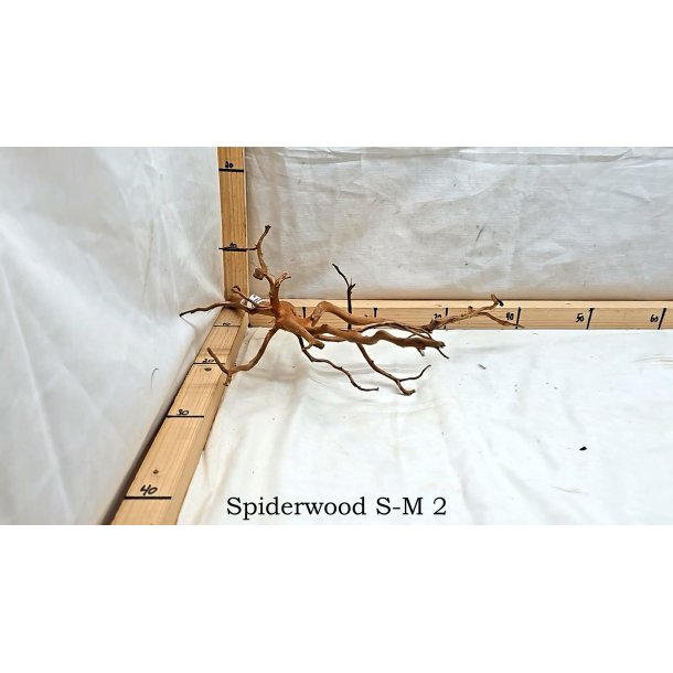 Spiderwood Rod Small-Medium (WYSIWYG)