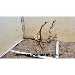 Spiderwood Rod Small-Medium (WYSIWYG)