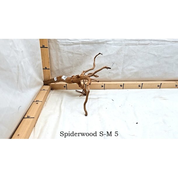 Spiderwood Rod Small-Medium (WYSIWYG)
