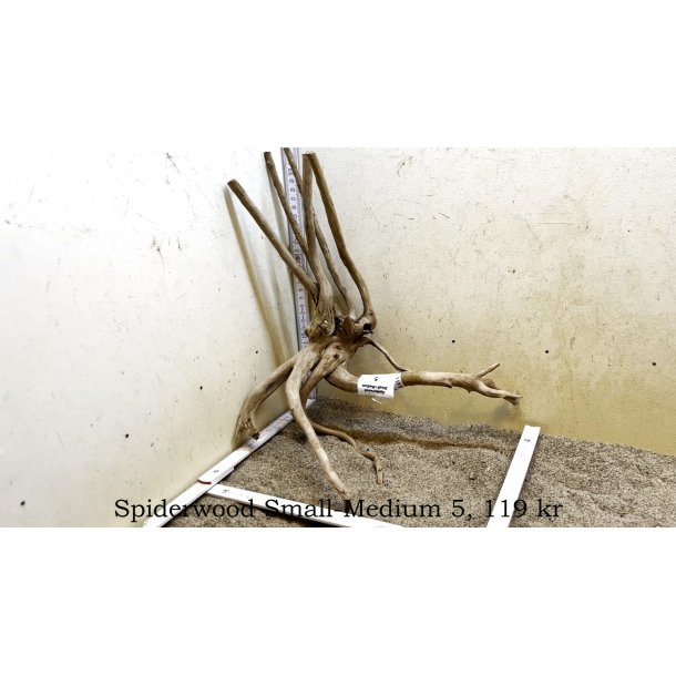 Spiderwood Rod Small-Medium (WYSIWYG)