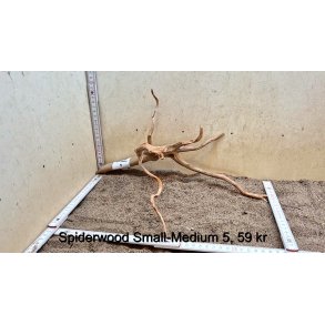 Spiderwood Rod Small-Medium (WYSIWYG)