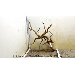 Spiderwood Rod Small-Medium (WYSIWYG)