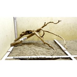 Spiderwood Rod Small-Medium (WYSIWYG)