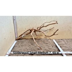 Spiderwood Rod Small-Medium (WYSIWYG)