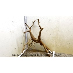 Spiderwood Rod Small-Medium (WYSIWYG)