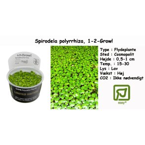 Spirodela polyrrhiza - Flydeplante, 1-2-Grow!