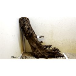 Standing Tree Rod Large-XLarge (WYSIWYG)
