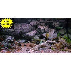 Fusion 900 L med RockZolid Sumatra baggrund