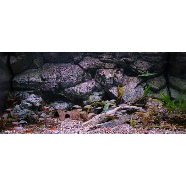 Element 240 L med RockZolid Sumatra baggrund