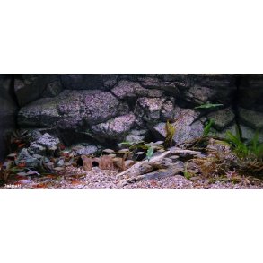 Element 180 L med RockZolid Sumatra baggrund