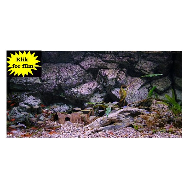Move 360 L med RockZolid Sumatra baggrund