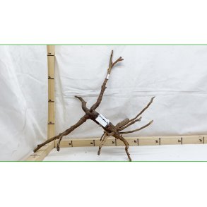 Sumatra Driftwood Small-Large (WYSIWYG)