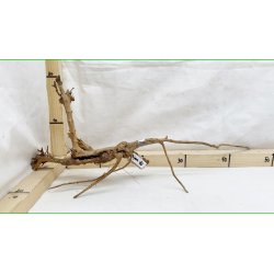 Taipan Rod Small-Large (WYSIWYG)