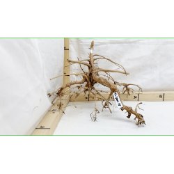 Taipan Rod Small-Large (WYSIWYG)