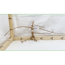 Taipan Rod Small-Large (WYSIWYG)