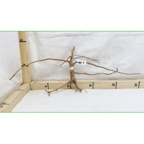 Taipan Rod Small-Large (WYSIWYG)