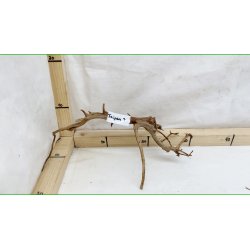 Taipan Rod Small-Large (WYSIWYG)