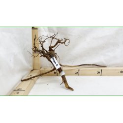 Taipan Rod Small-Large (WYSIWYG)