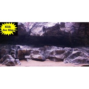 Move 275 L med RockZolid Timor baggrund