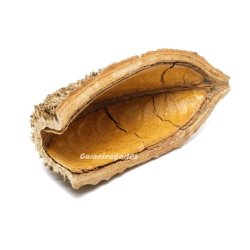 Bolsa de Pastor hule