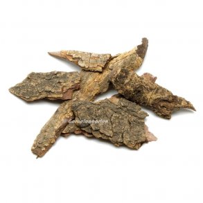 Catappa/Ketapang bark, 10 g