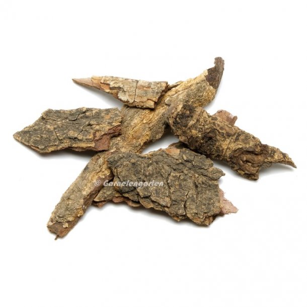 Catappa/Ketapang bark, 10 g