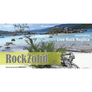 RockZolid Baggrunde og Moduler