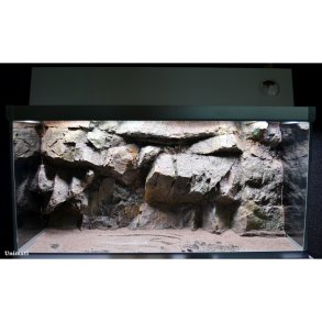 Akvastabil Family Akvarie med  baggrundsfilter