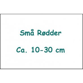Små Rødder - Ca. 10-30 cm